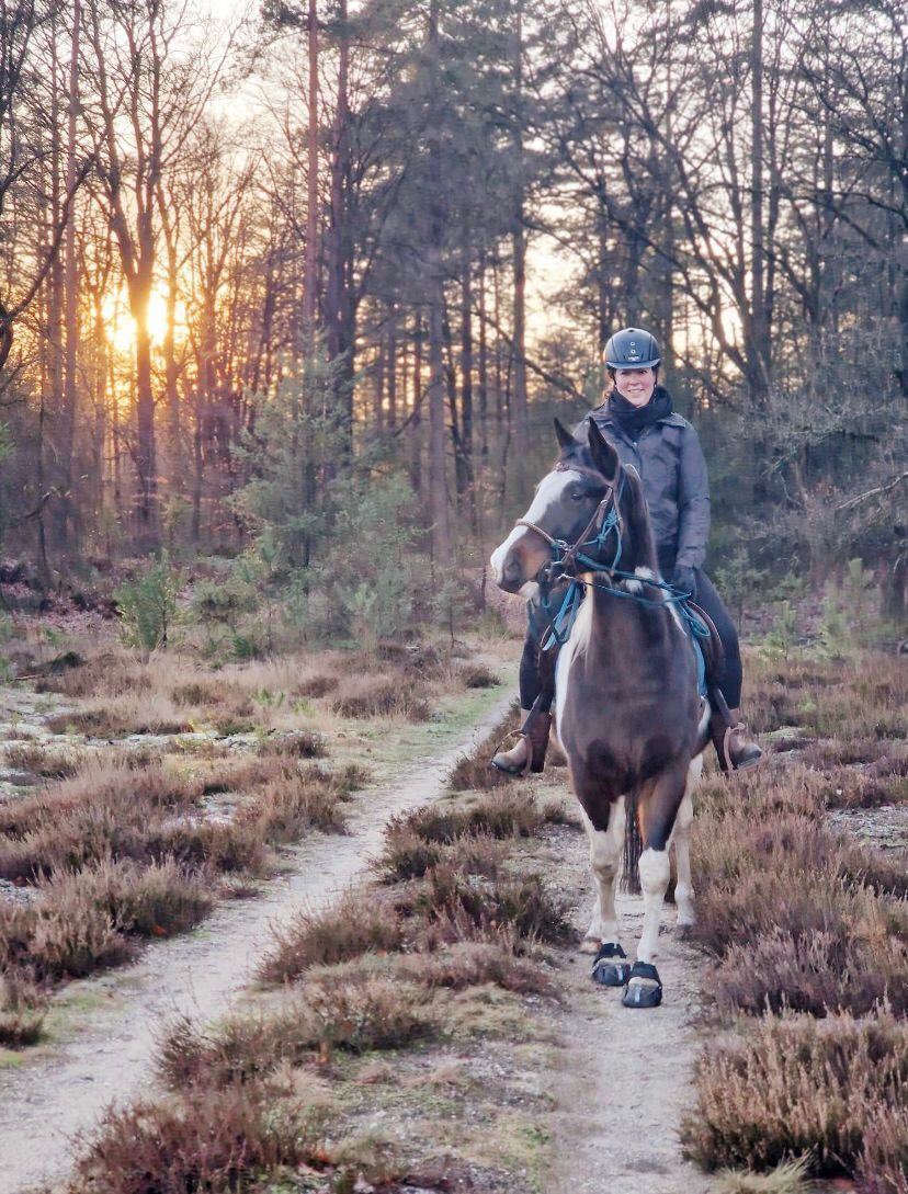Person riding a pinto horse on a dirt path through a forest at sunset.