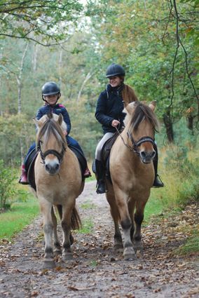 Two riders on light brown horses, helmets, on a forest path.
