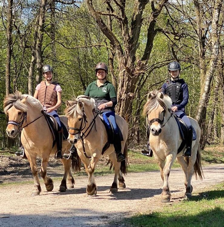 Three people on light brown horses riding on a dirt path in a wooded area.