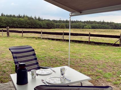 Camping scene: table set for a meal with plates, cups, and a thermos. Chair under awning, field and trees in background.