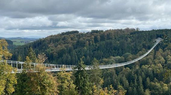 Suspension bridge spanning a forested valley under a cloudy sky.