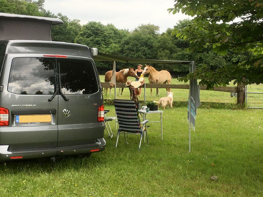Gray van parked in grassy field with horses in background, a chair, and small table.