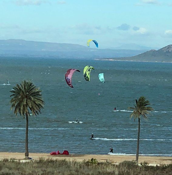 Kite surfers on a blue sea under a sunny sky, palm trees frame the beach.
