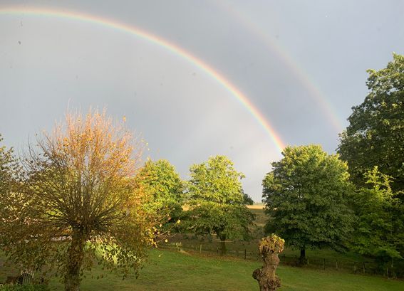 Double rainbow arches over green trees and a grassy field under a cloudy sky.