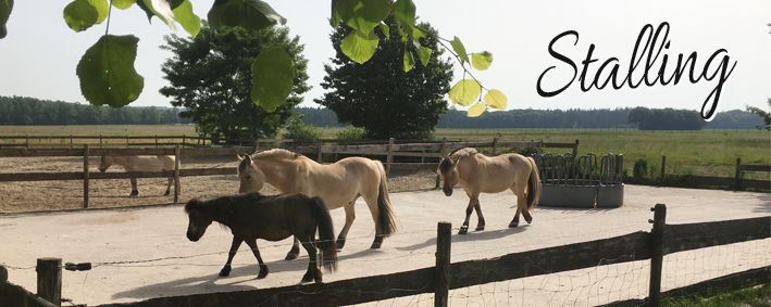 Horses in a paddock; “Stalling” text in cursive. Fence and greenery in the background. Sunny day.