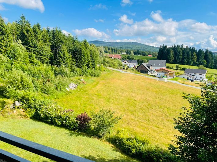 Green hillside landscape with a meadow, trees, houses, and mountains under a blue sky.