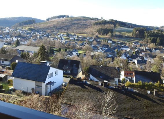 A town nestled in a valley with houses and a forested hill in the background. Sunny day.