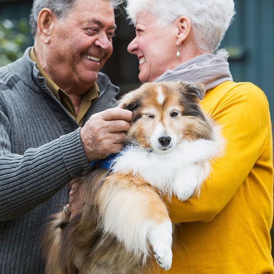 Elderly Couple With Their Dog — Aliso Viejo, CA — Ascent Insurance Elderly Couple With Their Pet — Aliso Viejo, CA — Ascent Insurance