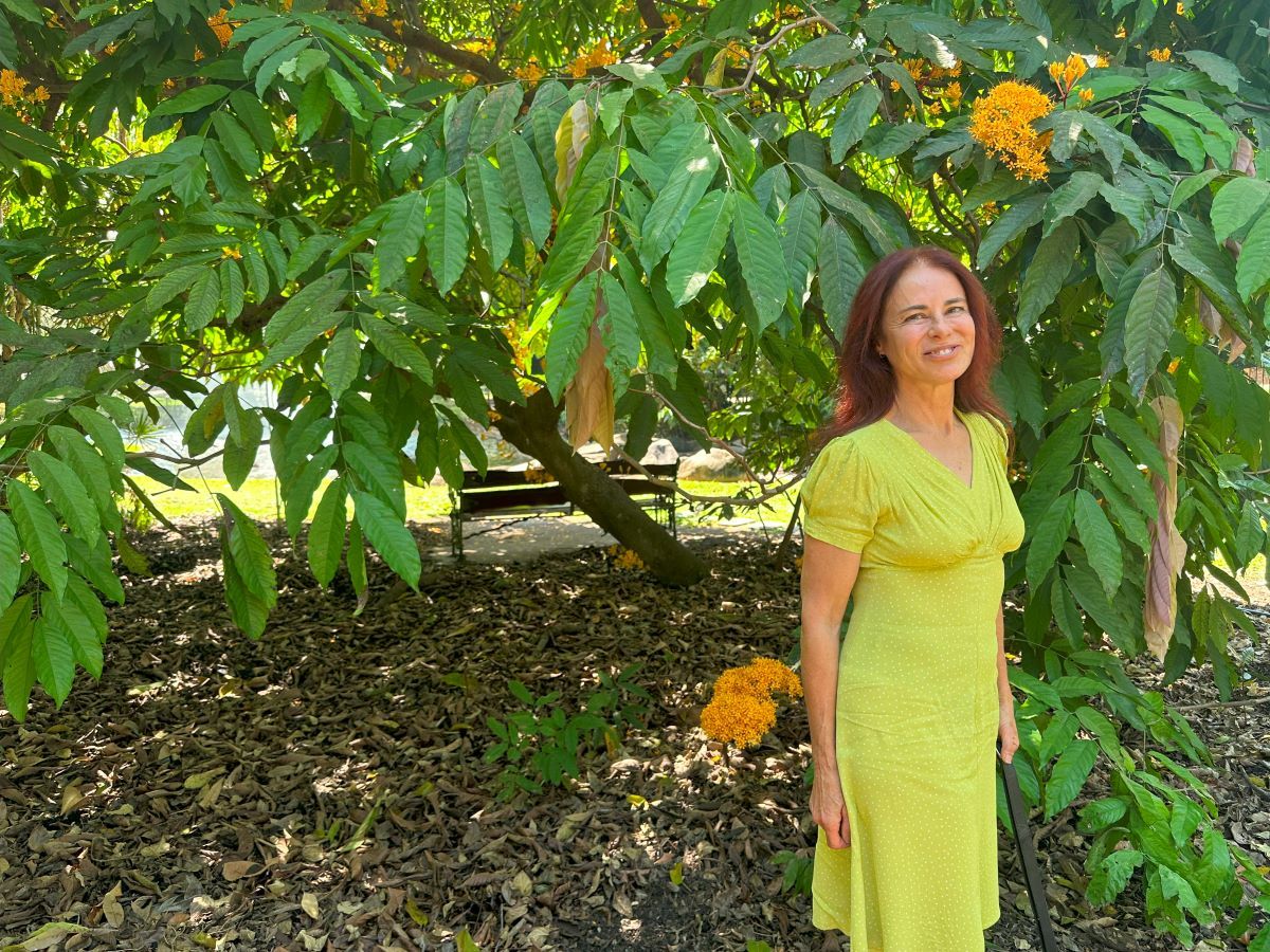 International Day of People with Disability Shining a Light on