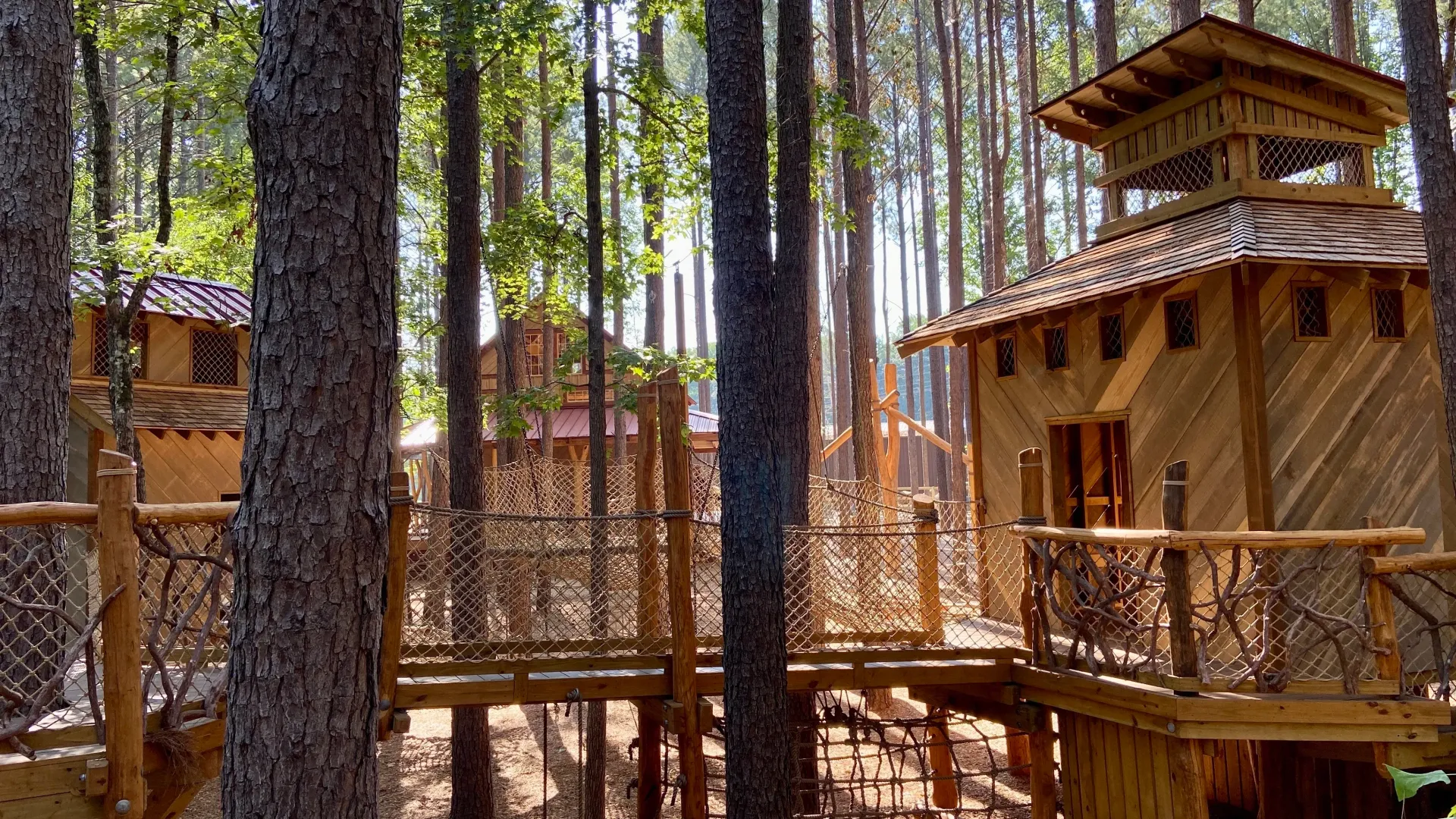 Wooden treehouses connected by bridges in a forest.