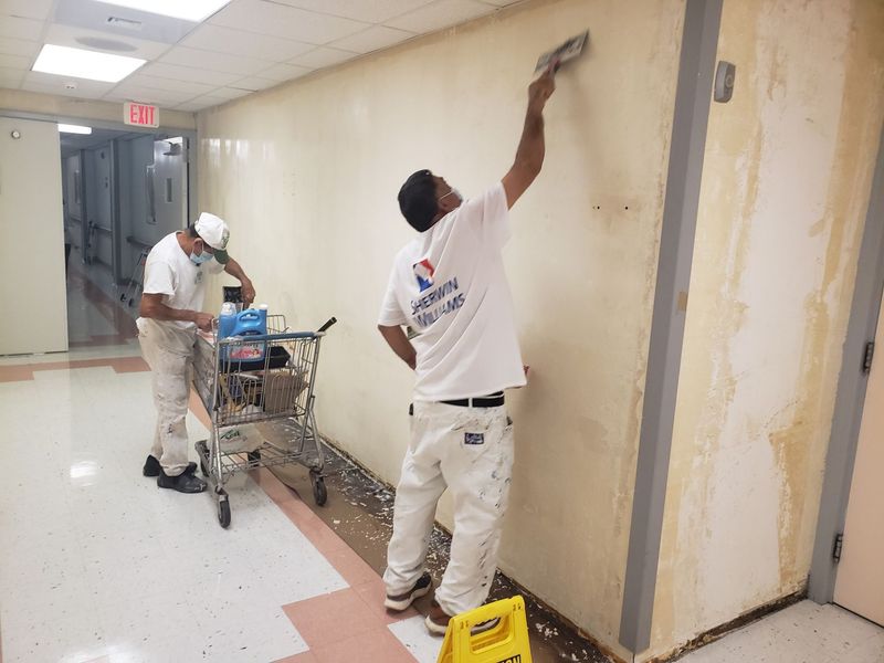 Dolphin Painting crew applying paint to an interior wall