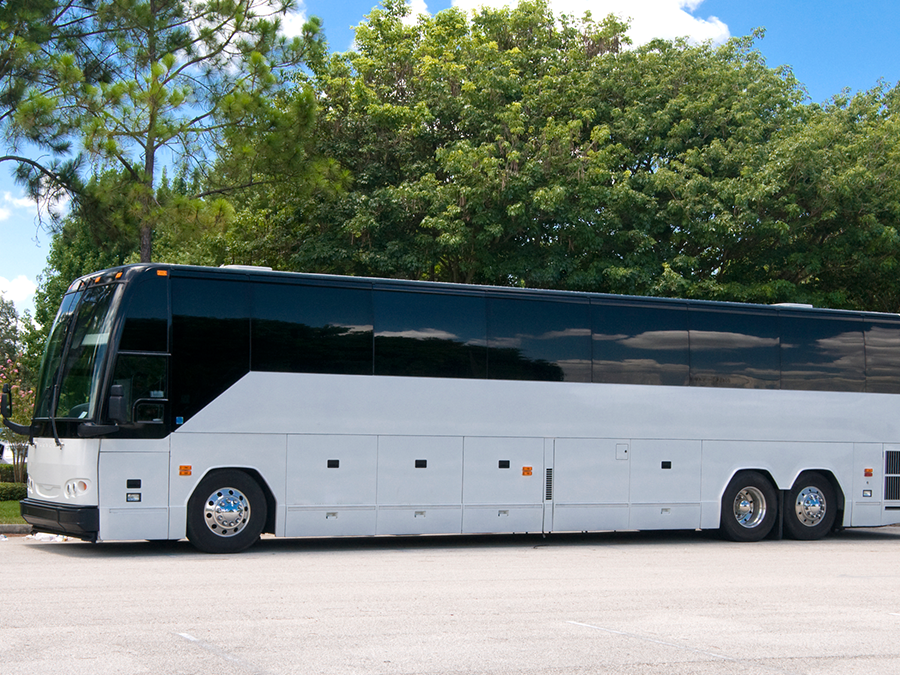A white bus is parked in a parking lot with trees in the background