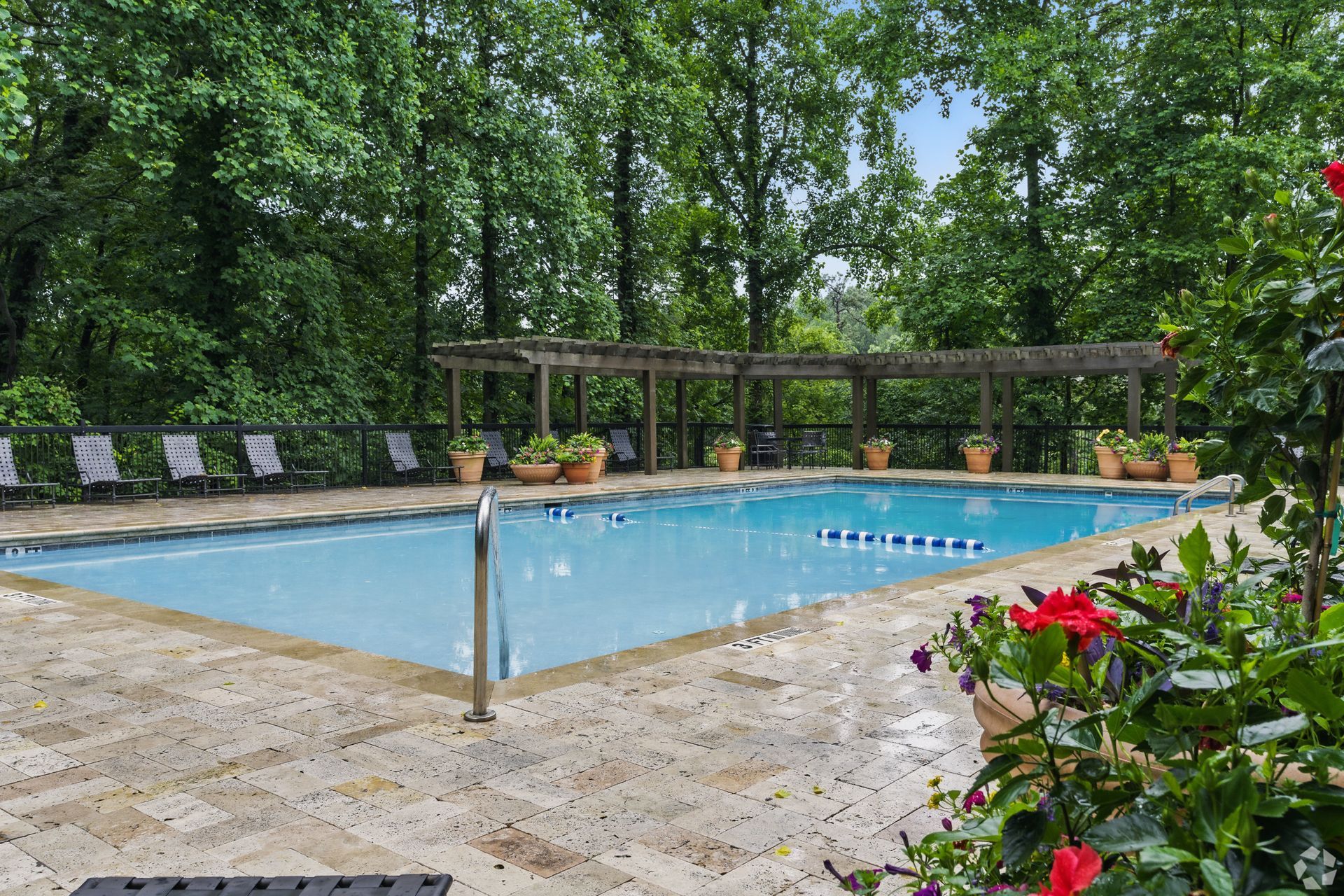 Outdoor swimming pool with lounge chairs, trees, and pergola.
