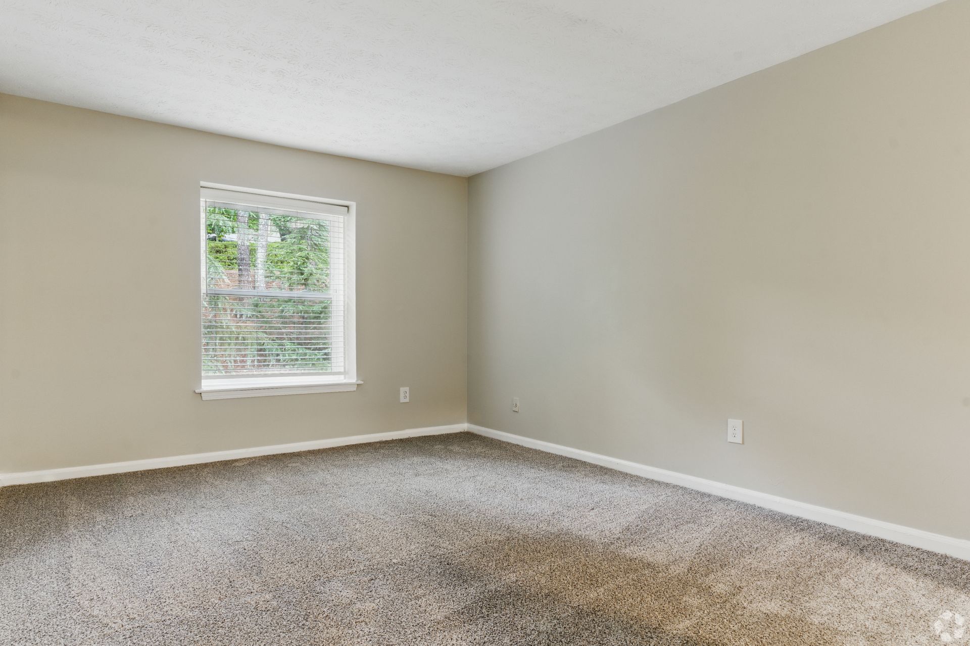 Empty room with a window. Beige walls, textured carpet, and a window overlooking greenery.