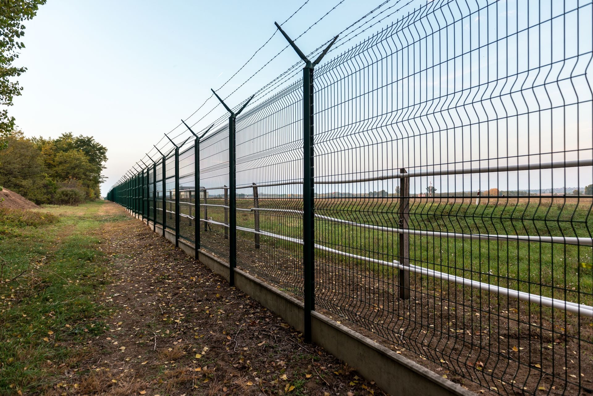 A barbed wire fence 