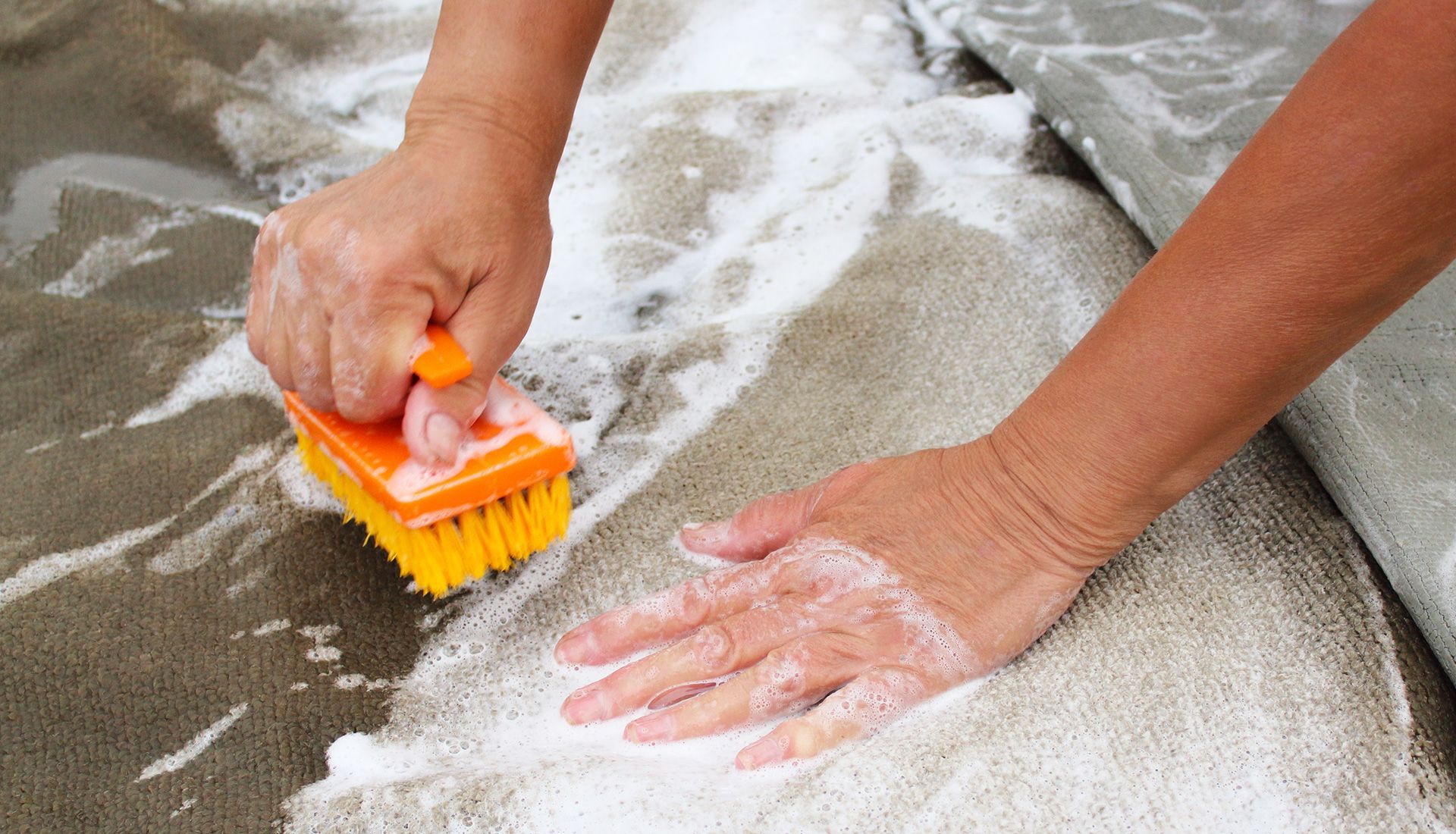 Hands scrubbing a carpet with soapy water and a brush.