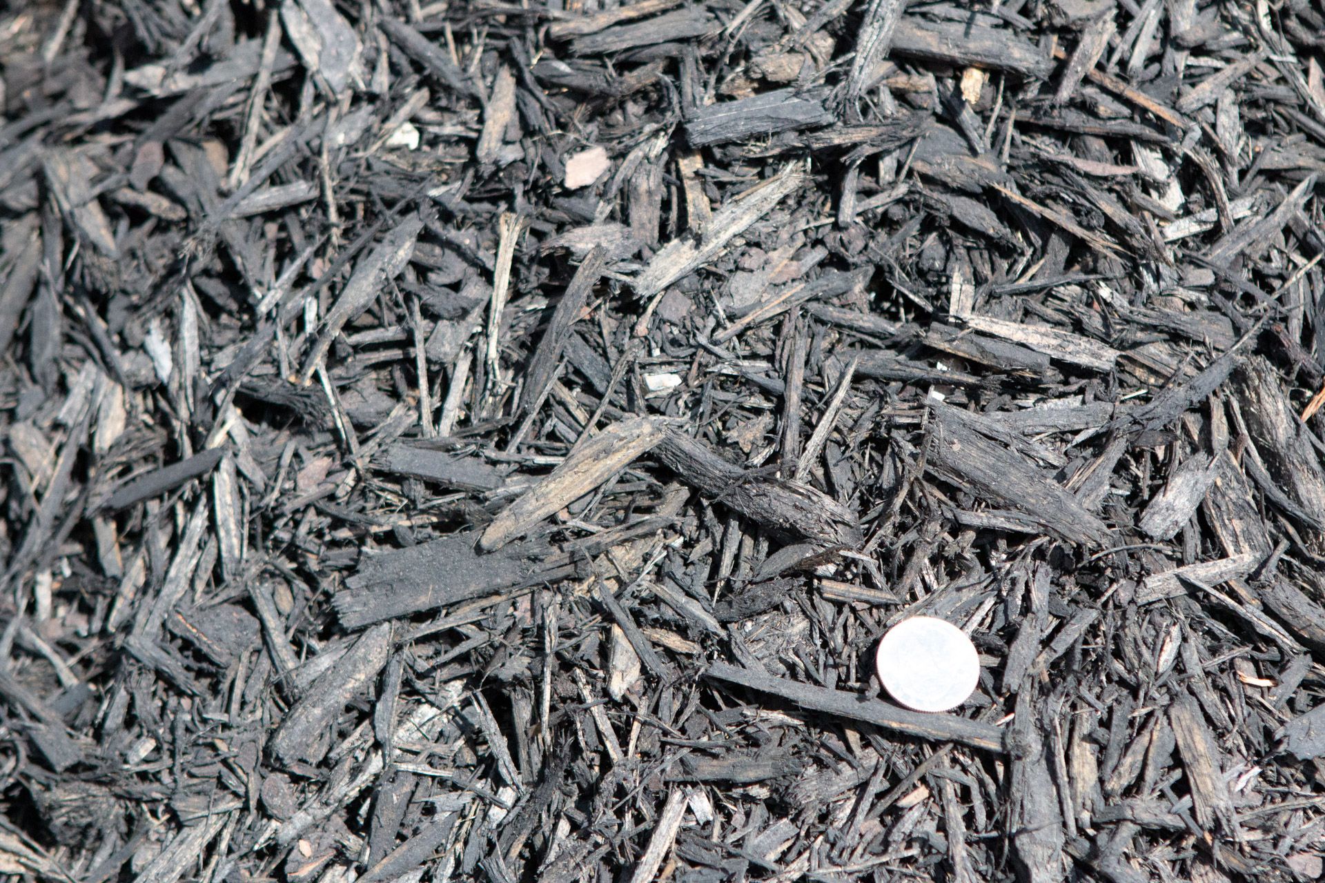 A pile of black mulch with a coin in the middle.