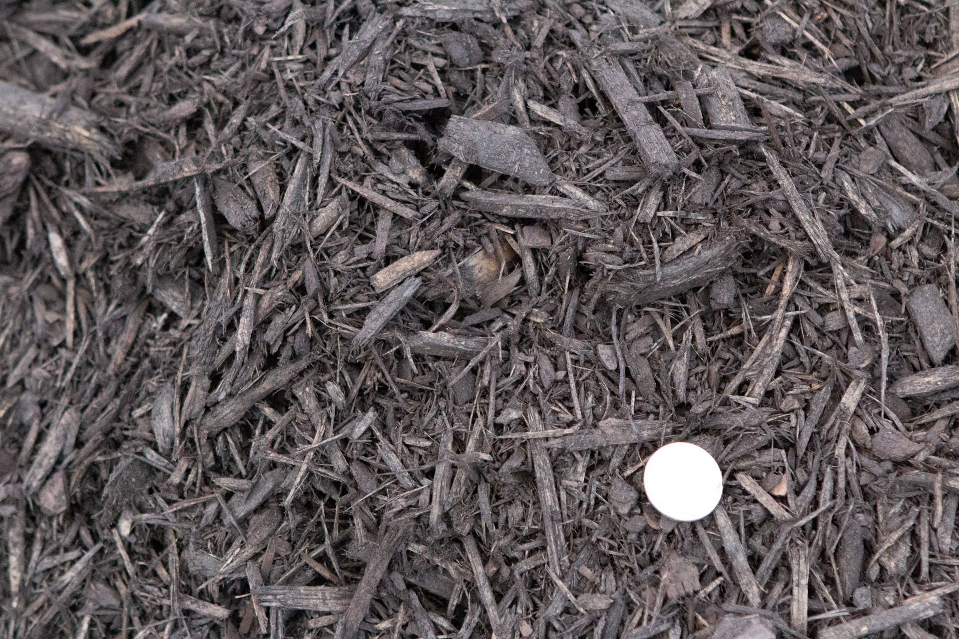 A pile of mulch with a white ball in the middle.