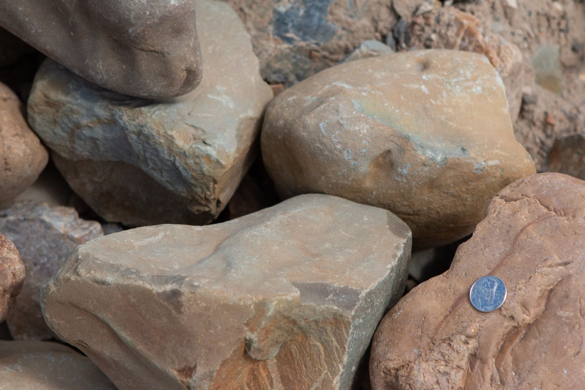 A pile of rocks with a quarter in the middle.