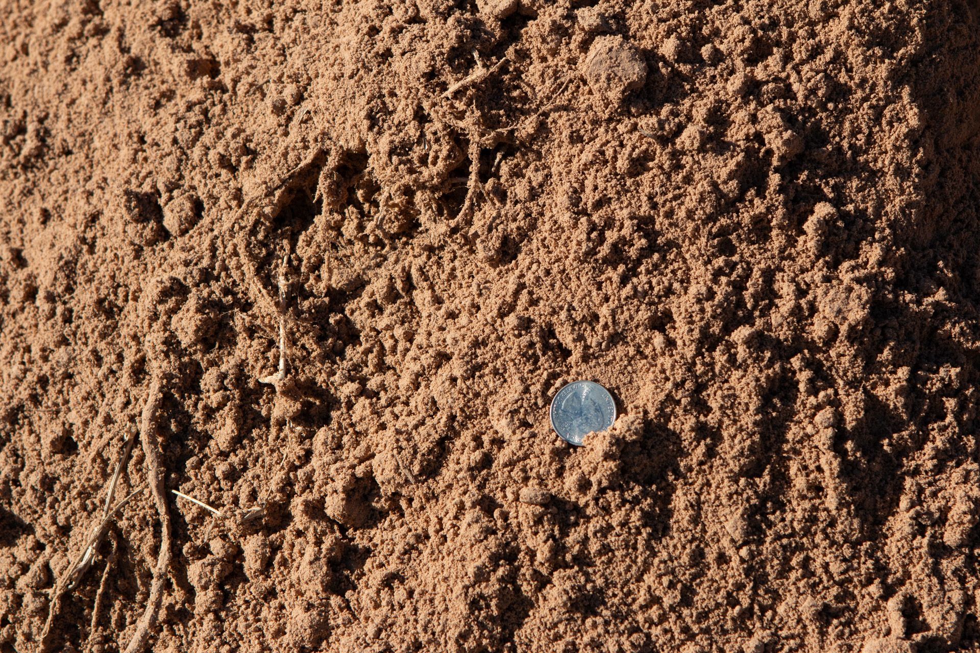 garden mix soil closeup