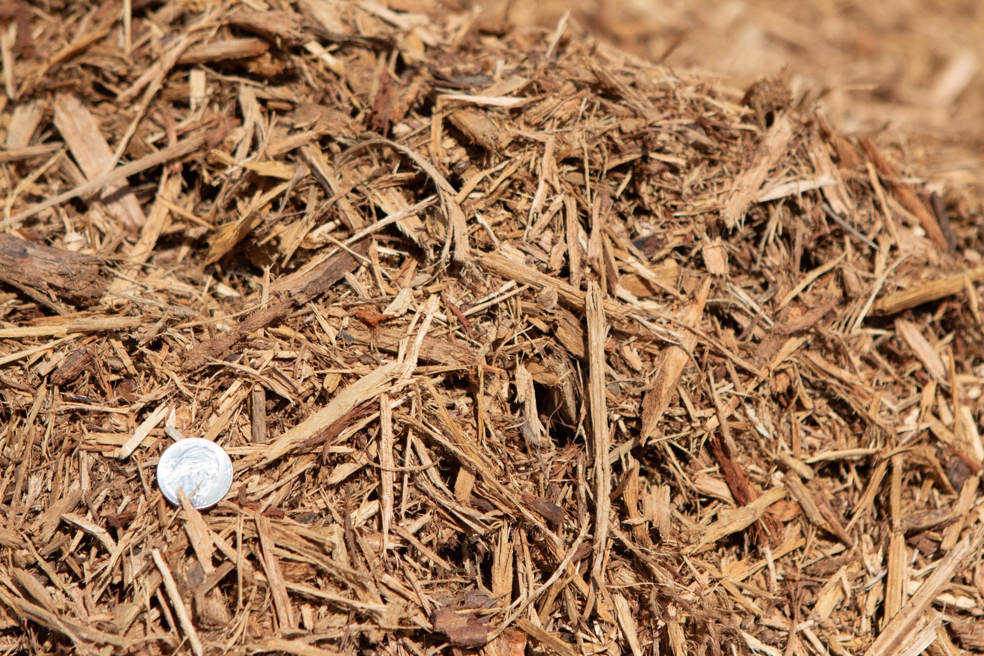 A pile of wood chips with a golf ball in the middle.