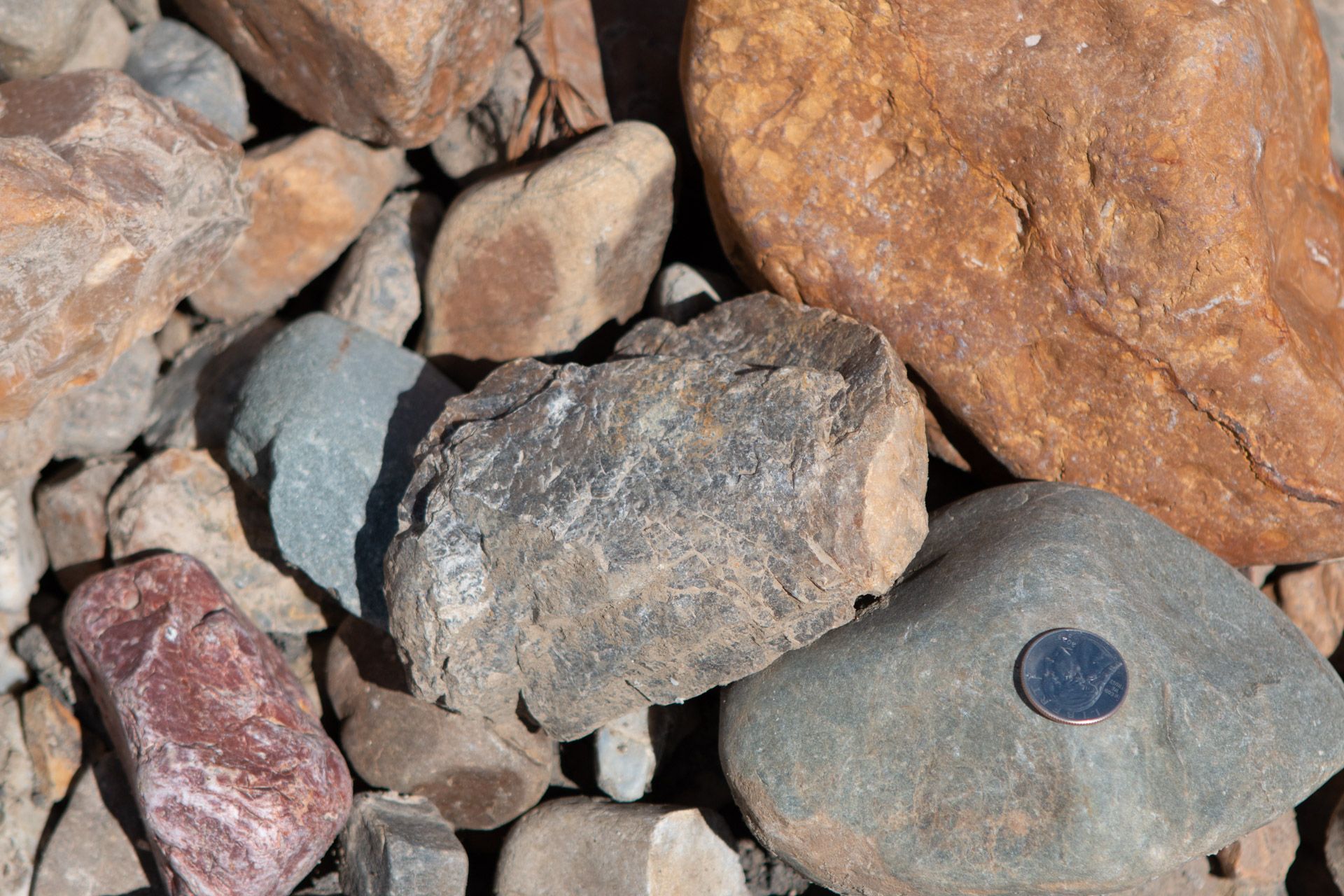 A pile of rocks with a coin in the middle.