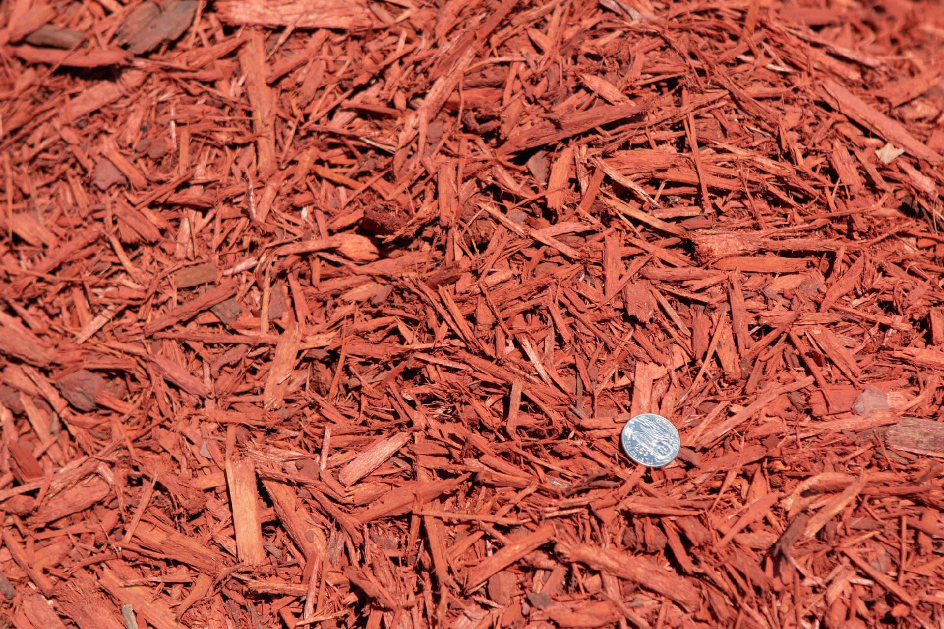 A pile of red mulch with a quarter in the middle.