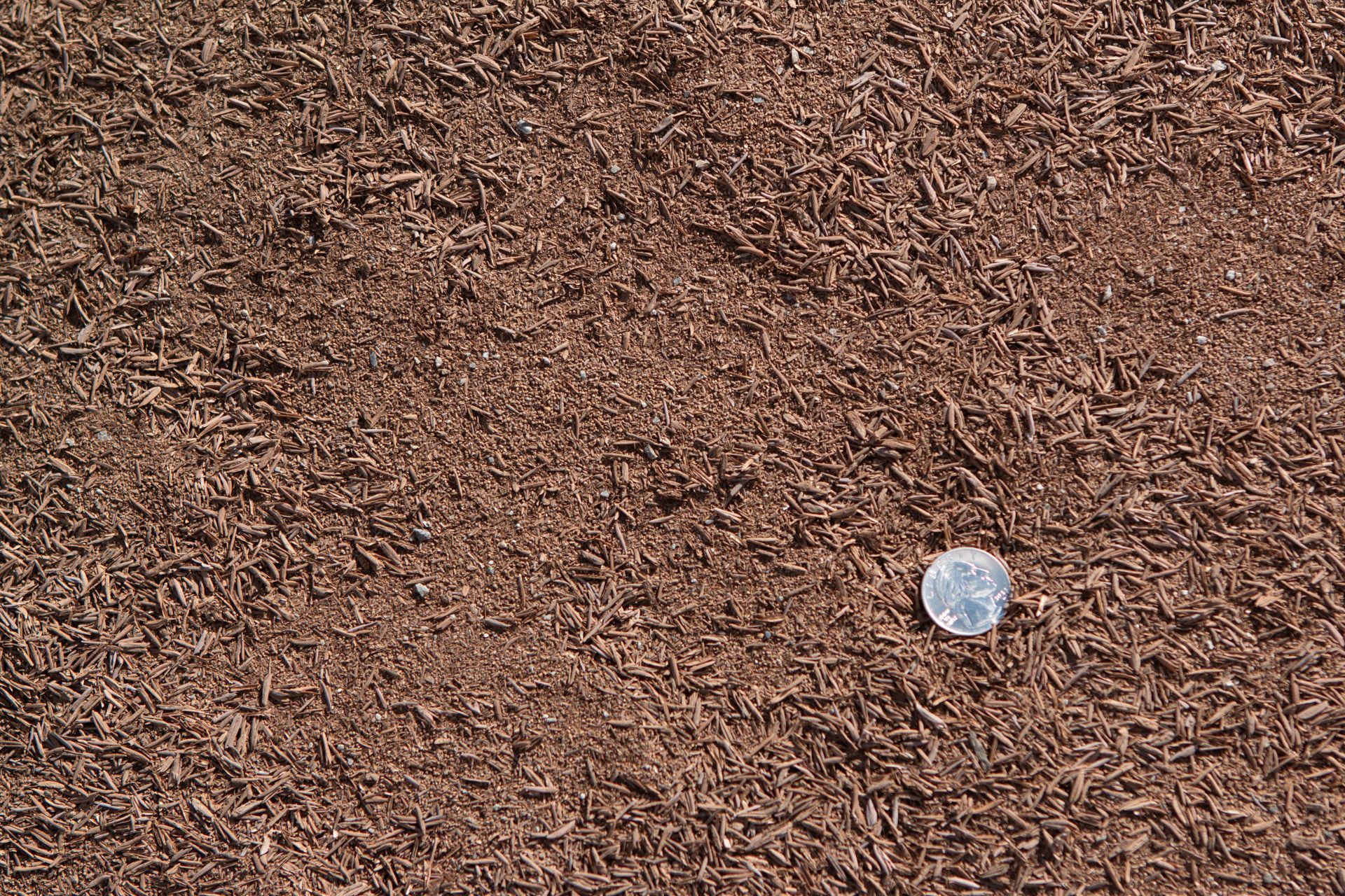A quarter is sitting on top of a pile of brown mulch.
