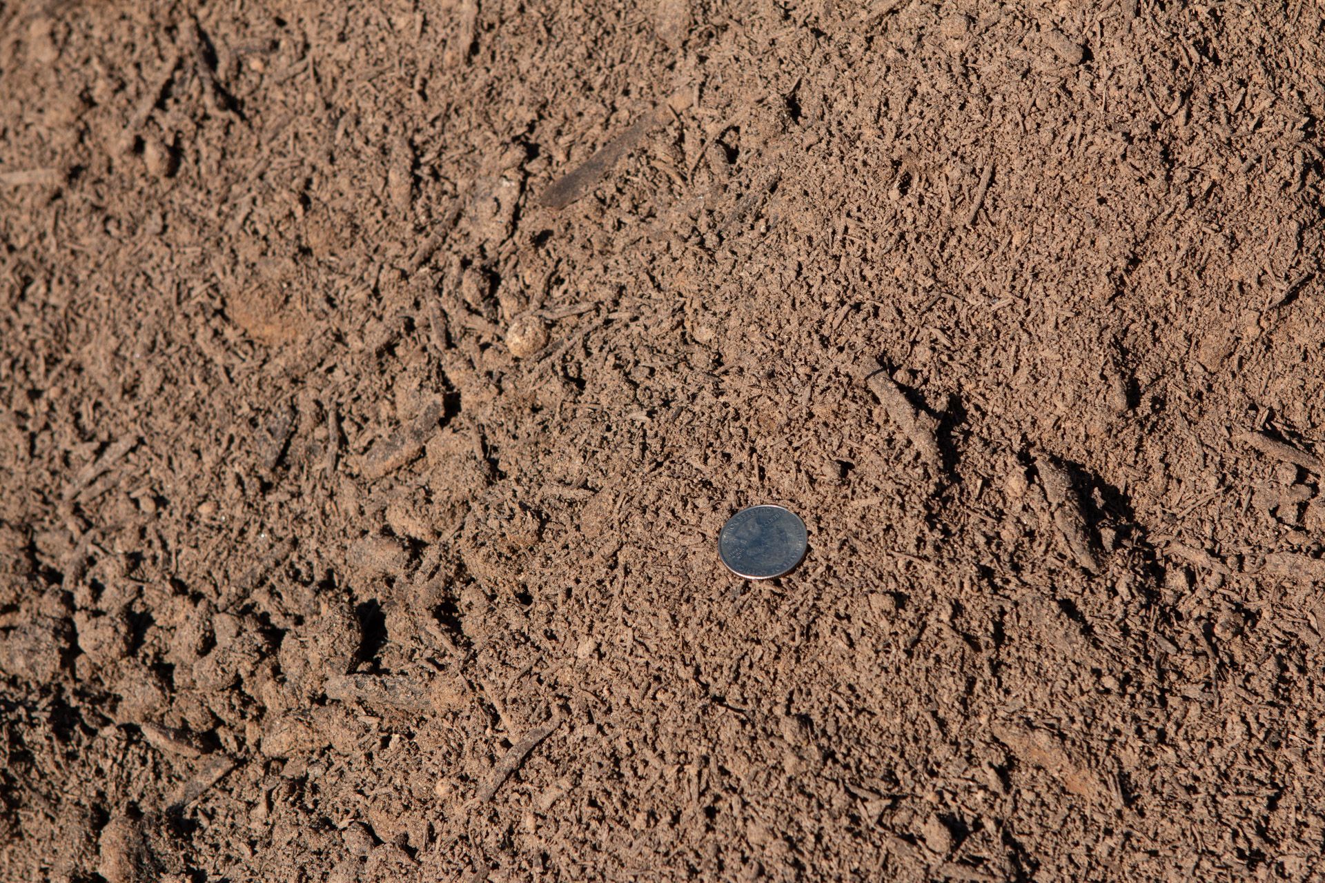 top soil closeup