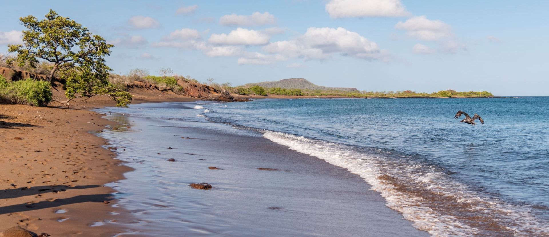 floreana island beach galapagos