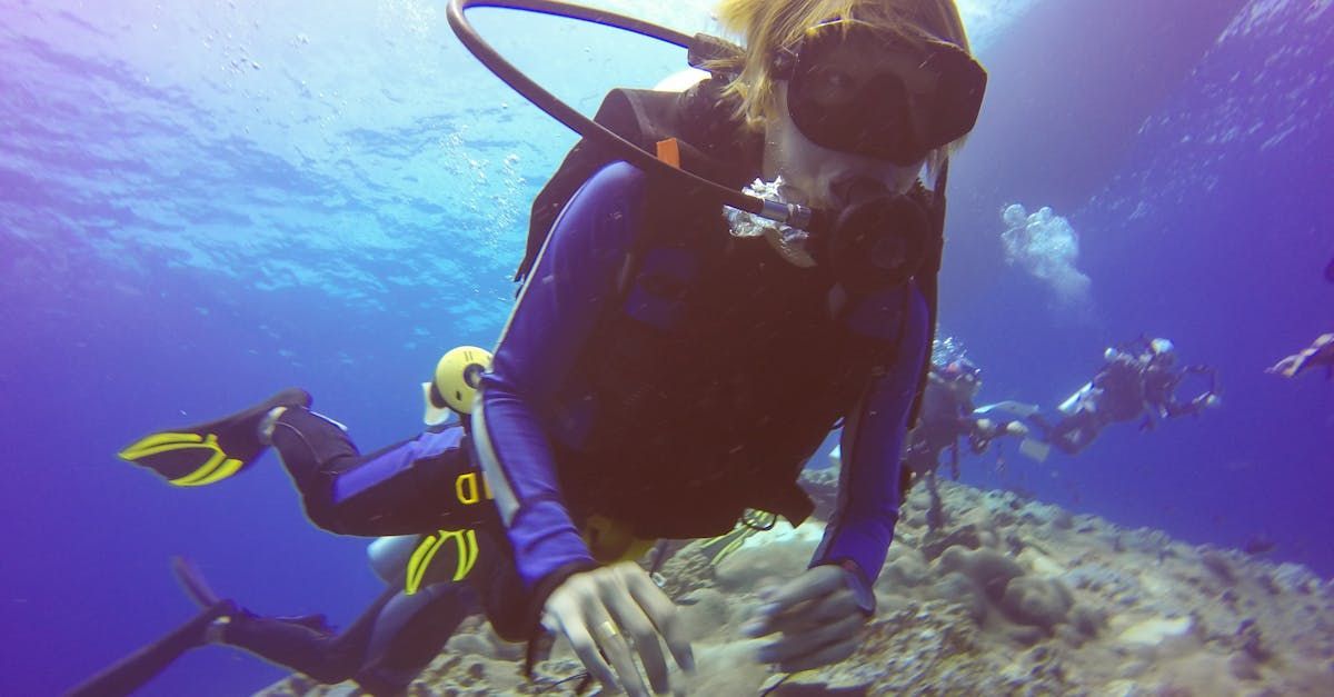 multiple scuba divers