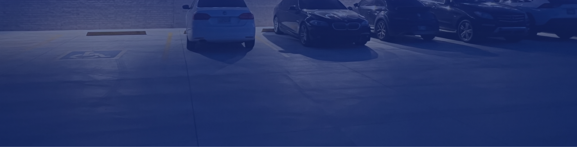 Vehicles We Service in Norman, OK - Alpine Motorsport LLC