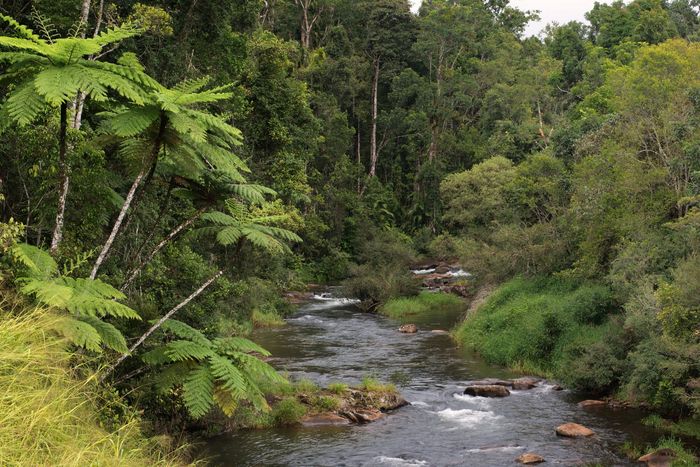 queensland