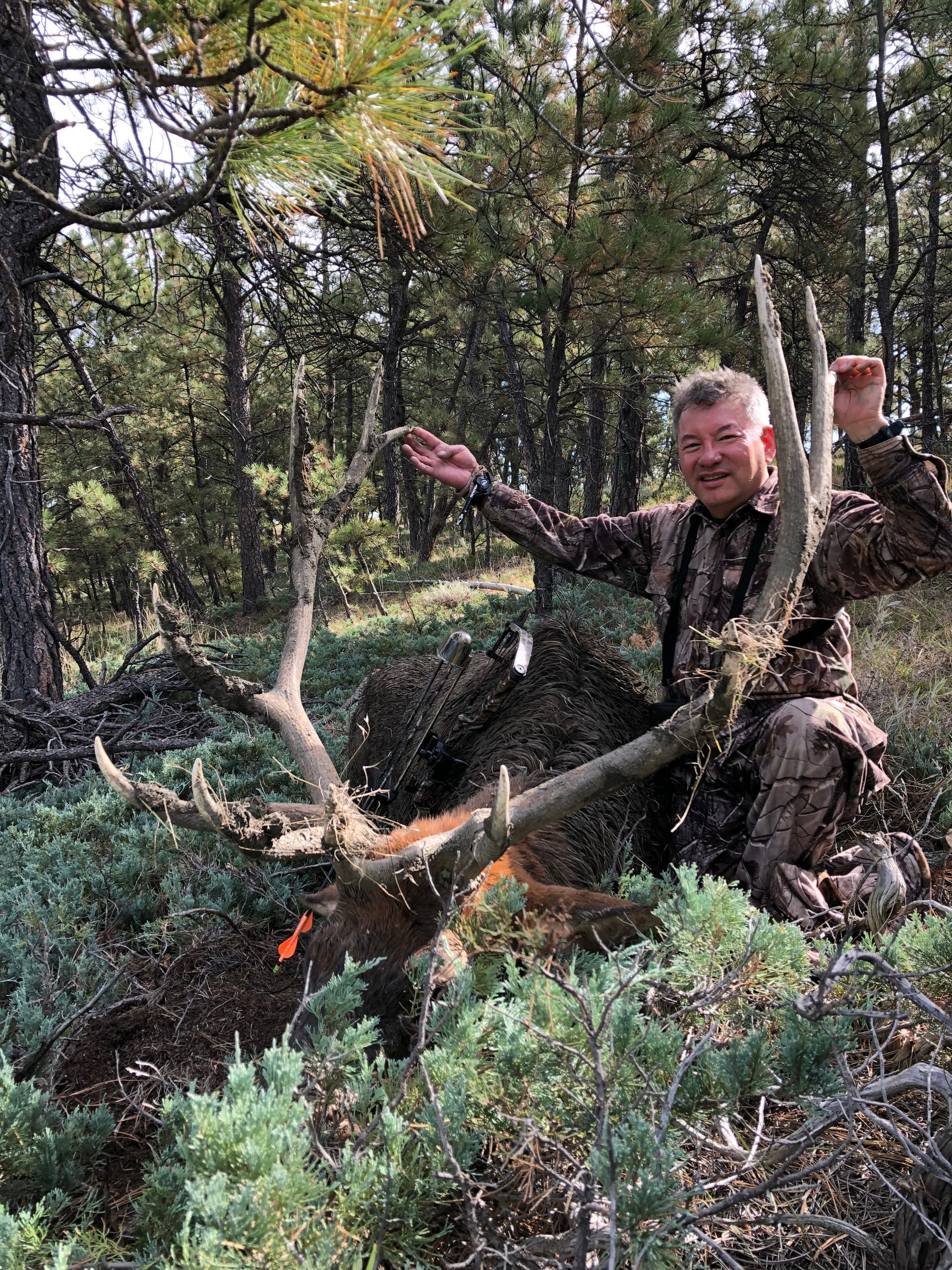 Man posing with deer in a forest