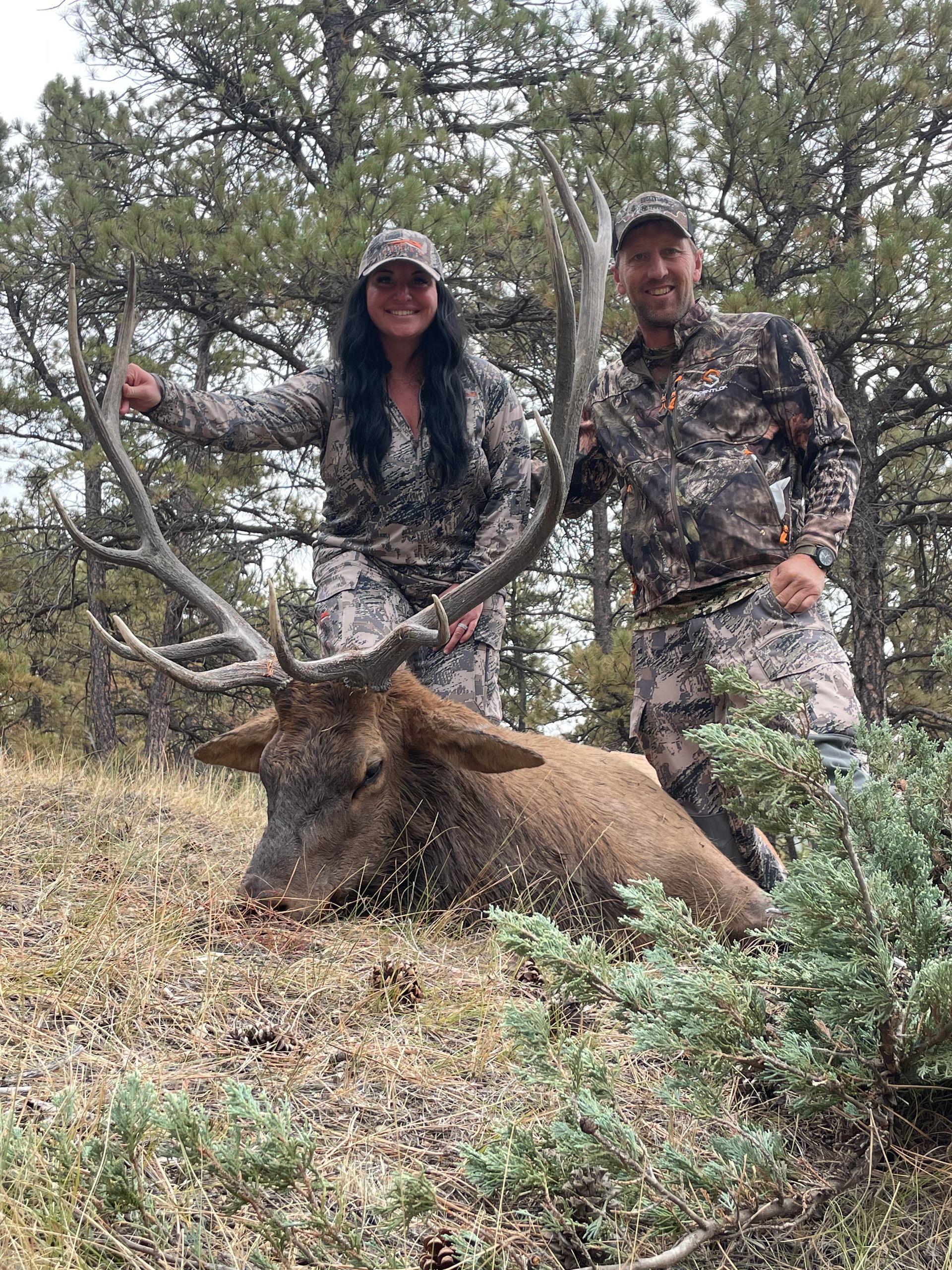 Man posing with deer in a forest