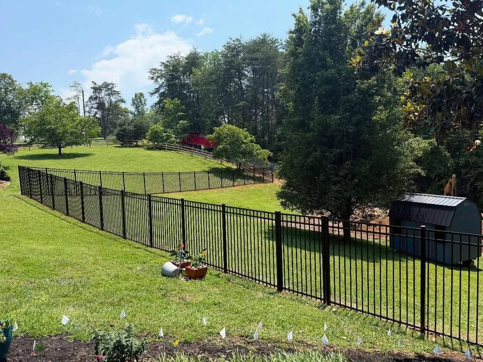 Green backyard with black metal fence, lawn, trees, and a small shed on a sunny day