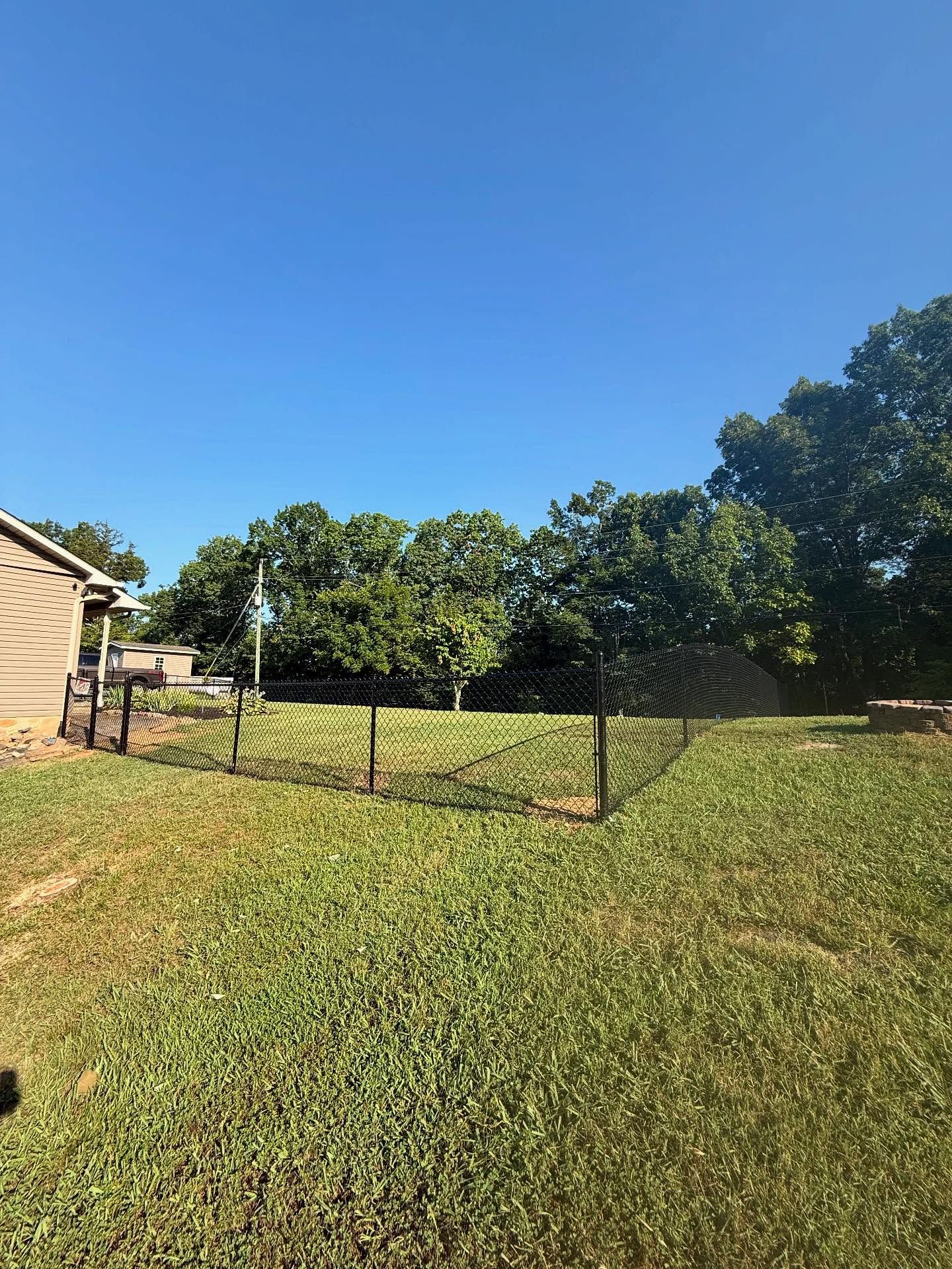 Grassy backyard with a black chain-link fence, trees, and a house under a clear blue sky