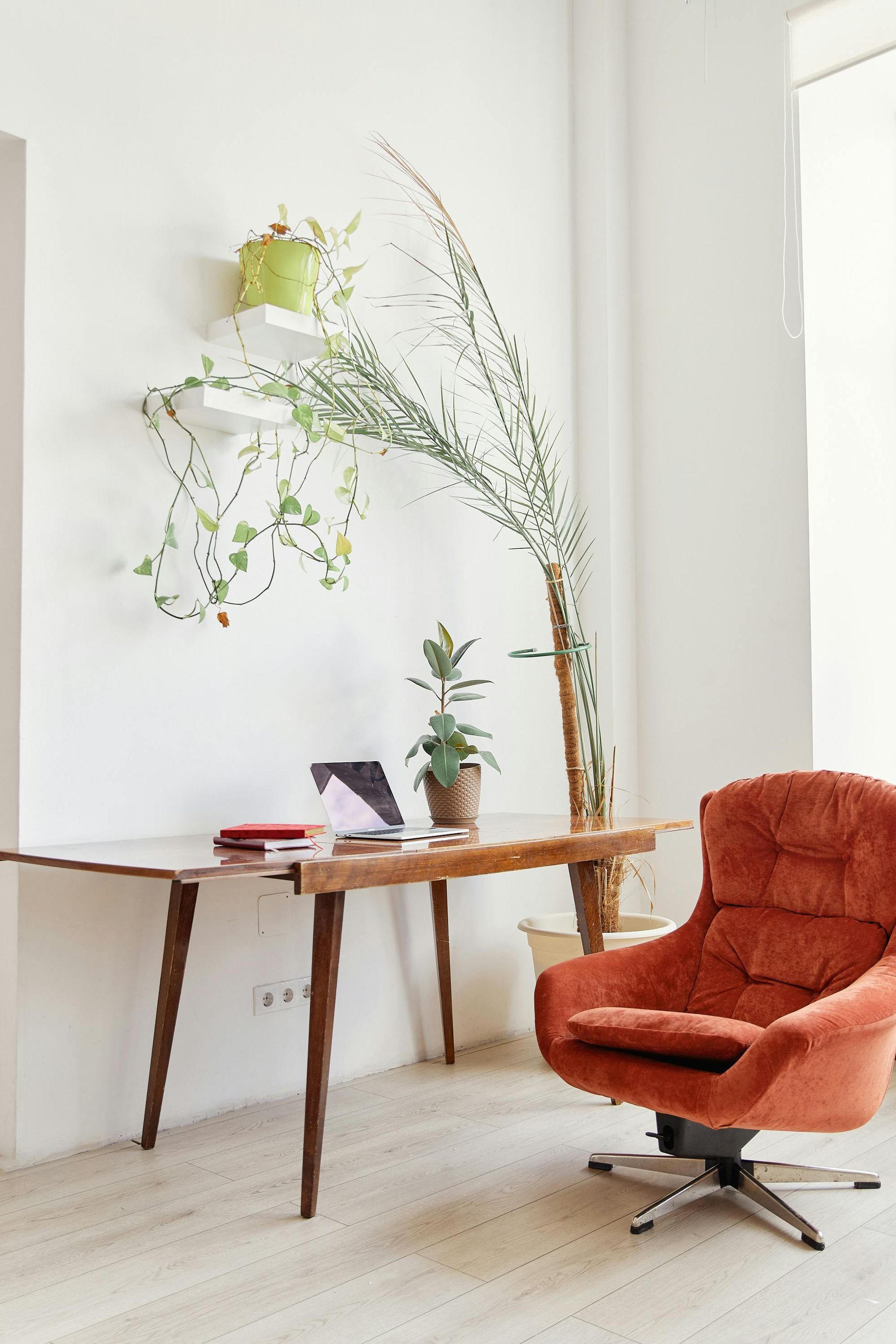 Lichte, minimalistische kamer met houten bureau, oranje stoel en hoge plant tegen een witte muur.