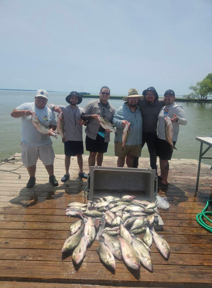 Six people stand on a wooden dock holding fish, with a large pile of caught fish on the dock in front of them.