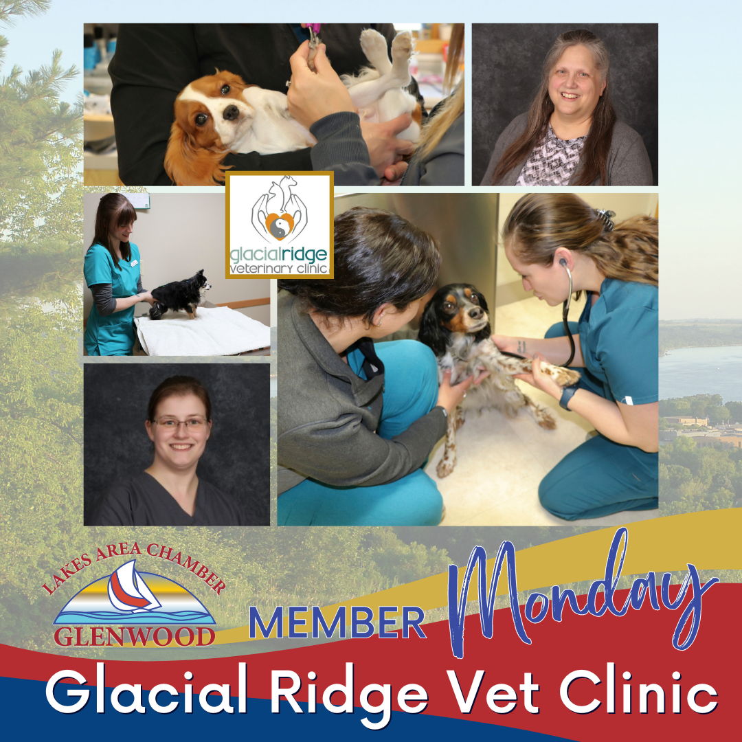 Collage of staff and pets at Glacial Ridge Vet Clinic for a Member Monday feature from the Glenwood Lakes Area Chamber.