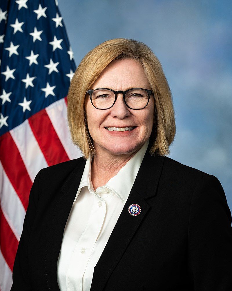 Official portrait of U.S. Representative Michelle Fischbach wearing glasses and a blazer in front of an American flag.