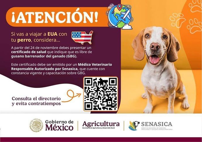 AEROPET SERVICES