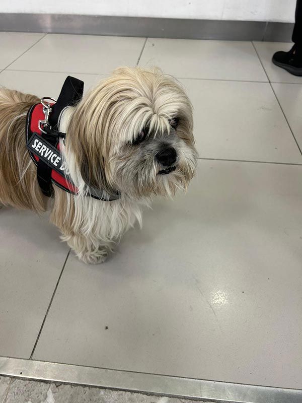 AEROPET SERVICES