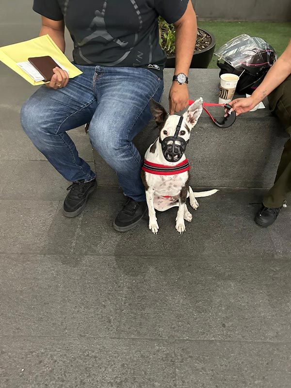 AEROPET SERVICES