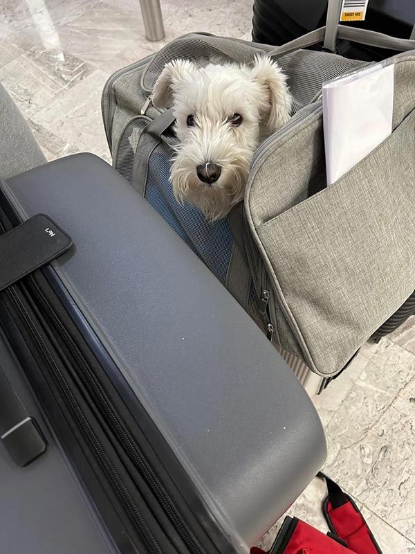 AEROPET SERVICES