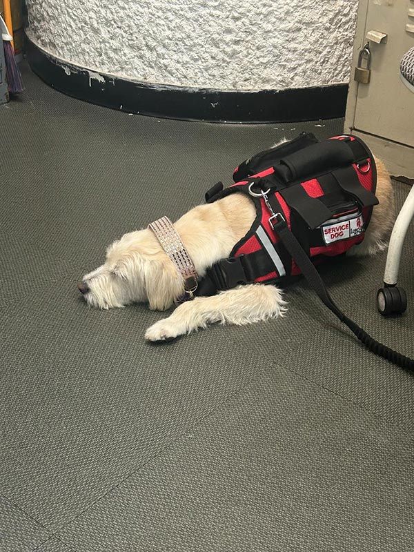 AEROPET SERVICES