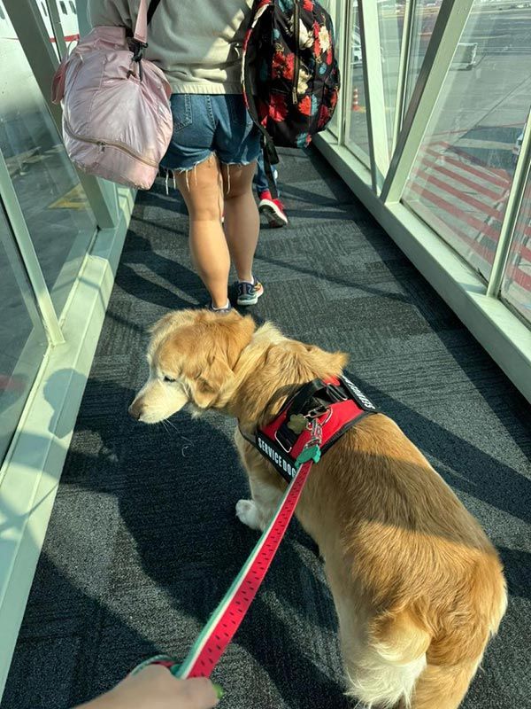 AEROPET SERVICES