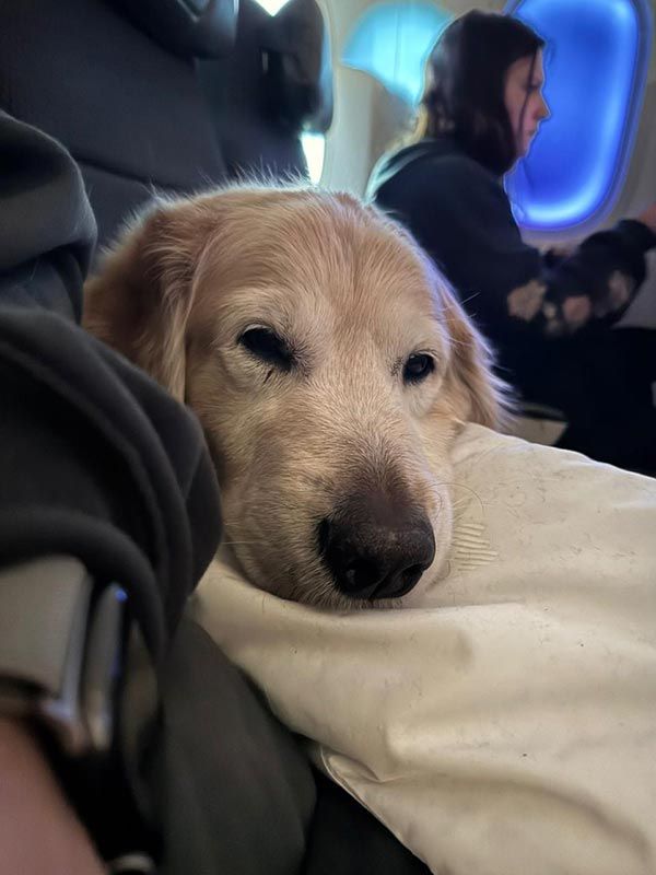 AEROPET SERVICES