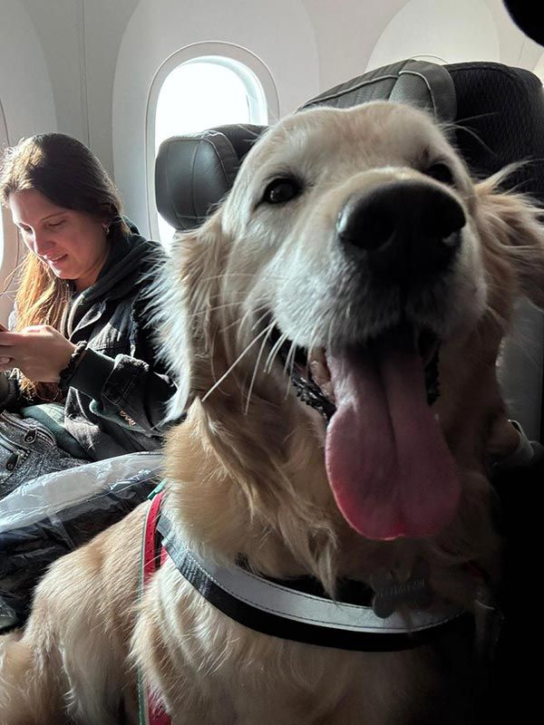 AEROPET SERVICES