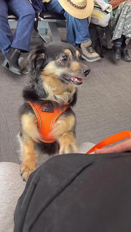 AEROPET SERVICES